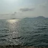 sk224852