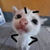 hello8765767667