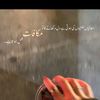 .com.sheikh..7