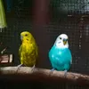 jorge.azael.diaz