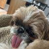 madelineemperley