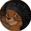 user7781680524509