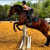 macy.eq3