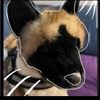 robyn.on.paws