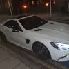 enzo_18786