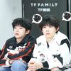 bini_levi_tf.family
