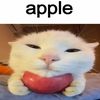 zamdla