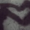 k9_445