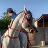 fza_966