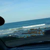 theonlyoneunecebo