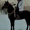 .aljazawi