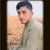 shabzail.knab