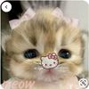 ami_leka