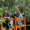 fan.dingdang2
