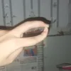 betramcute10.05
