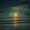 said.ahmedov91