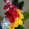 jkindher4344