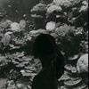 lengee_2