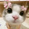 naomihokky31