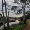 isla_main_acct