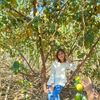 waiwaiaung6011
