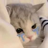 thngphmtin0