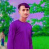 pritibir.mnus.boronistur