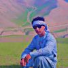 user8590317071454