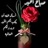 user36776540030710