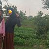 ayuni_503