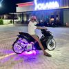 alendzslthon_