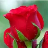 user970819709