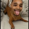 Theflightdogman