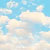 nathalia234pv3