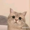user55112yih