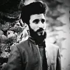 ara_1995a
