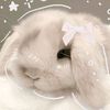 dreamielife_