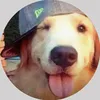 bigdawgwhit0