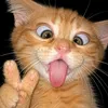 qaaaa0_