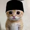 stresnun