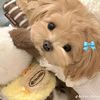 pandey_yunisha7798