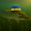 ukrainian_pike