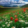 traveldreamdiary
