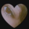sahar.shokr2