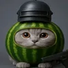 anonymous_vosstante