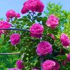 ilyaas.moalim