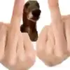 100papiersdu37