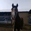 muhtar.zangar01