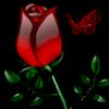nuradis.yesuf6