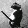 idbricd_2